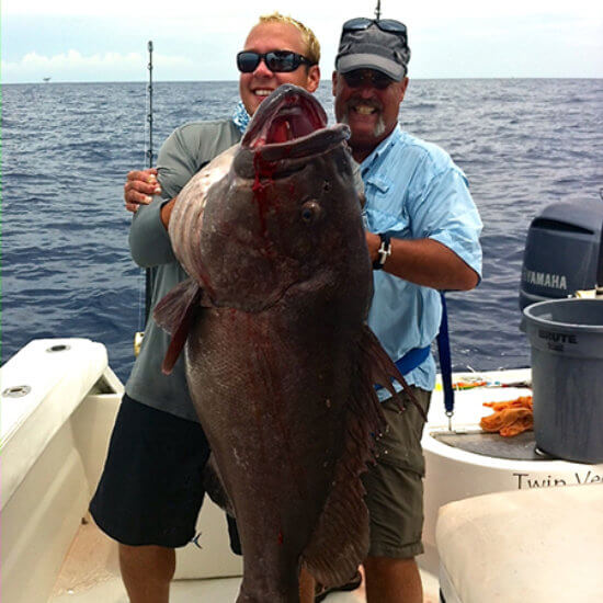 Catch grouper with Super Strike Charters in Venice, LA.
