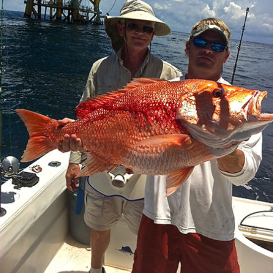 Catch Red snapper while deep sea charter fishing
