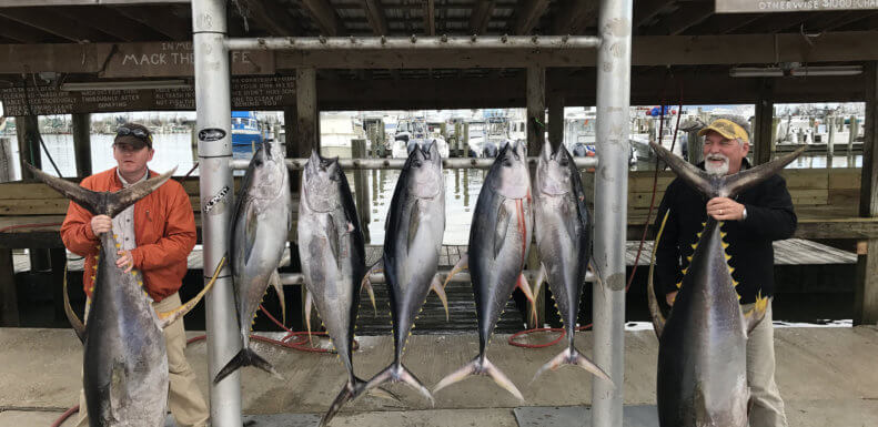Superstrike Charters