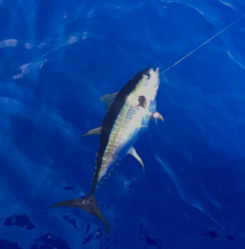 Superstrike Charters